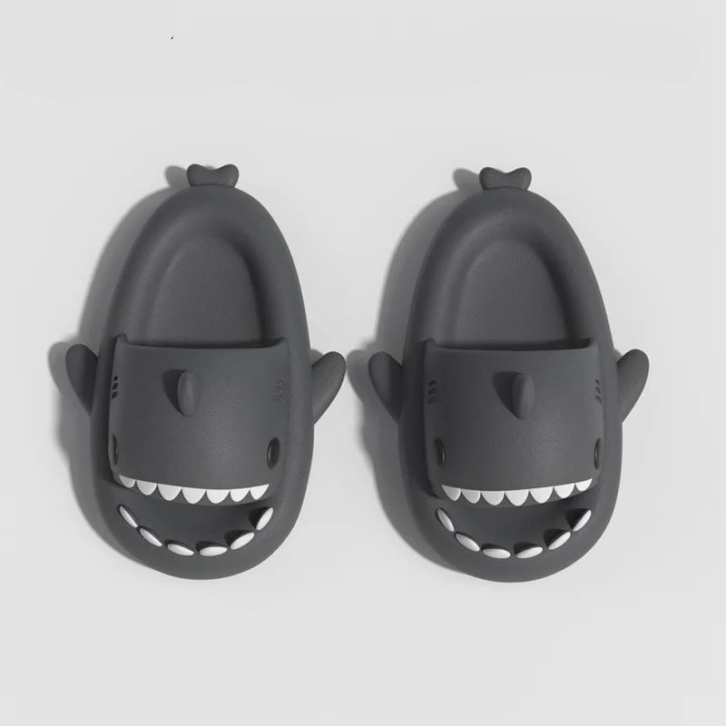 Chausson Requin Adulte